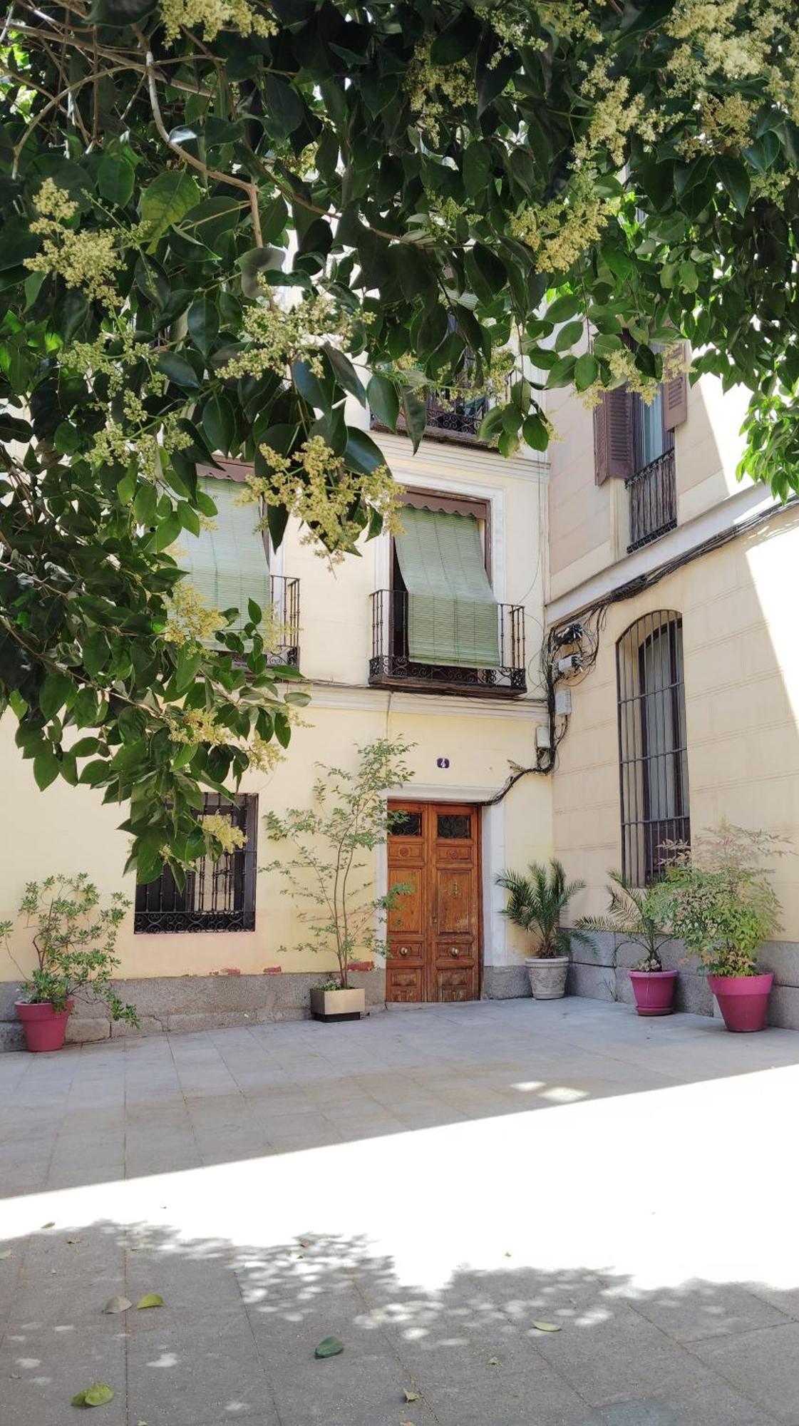 Centrico Apartamento Con Patio Madrid Eksteriør billede
